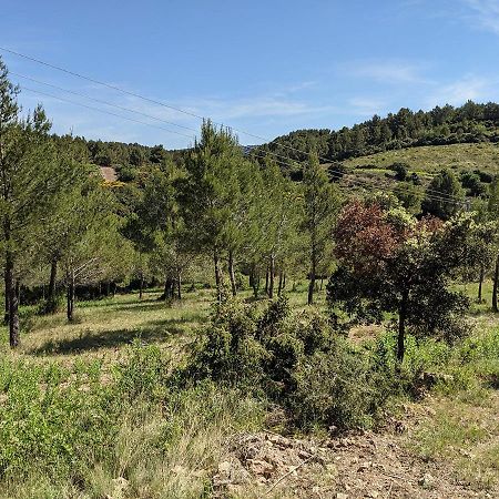 Bergerie Eco-Gite Serre Rouge Durban-Corbieres エクステリア 写真