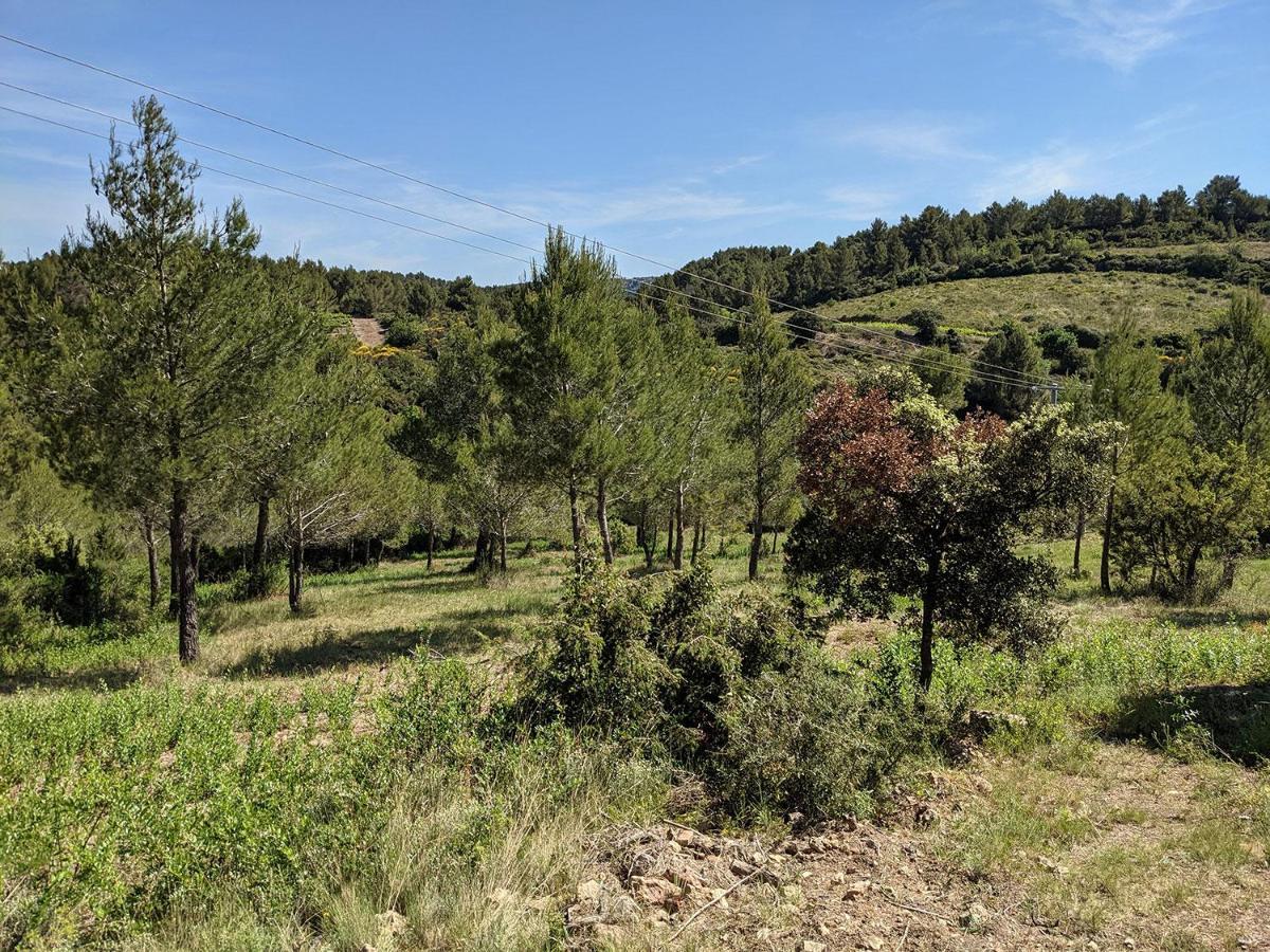 Bergerie Eco-Gite Serre Rouge Durban-Corbieres エクステリア 写真