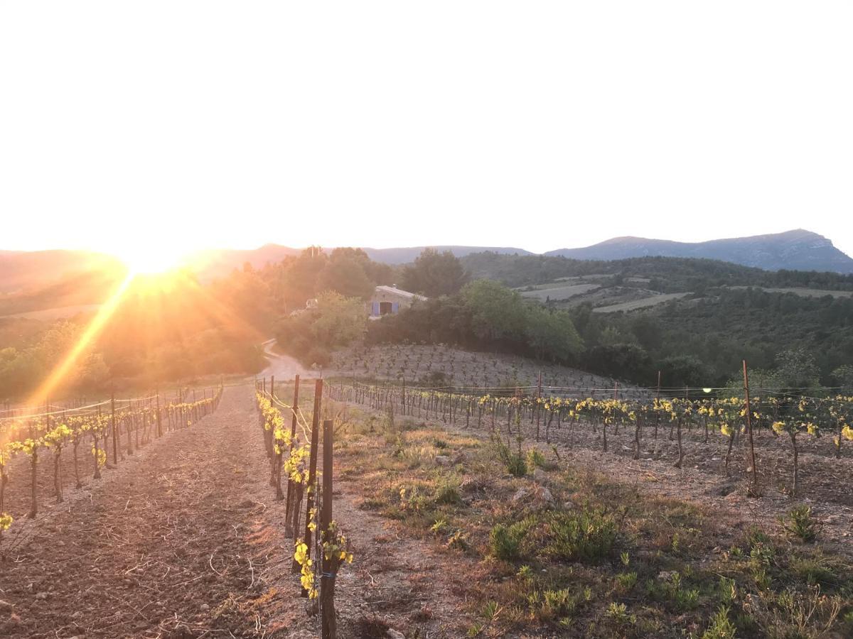Bergerie Eco-Gite Serre Rouge Durban-Corbieres エクステリア 写真